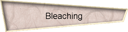 Bleaching